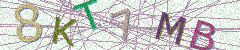 IMAGE_CAPTCHA_ALT