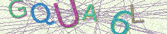 IMAGE_CAPTCHA_ALT