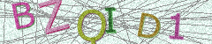 IMAGE_CAPTCHA_ALT