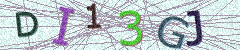 IMAGE_CAPTCHA_ALT