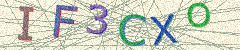IMAGE_CAPTCHA_ALT