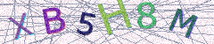 IMAGE_CAPTCHA_ALT