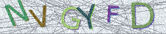 IMAGE_CAPTCHA_ALT