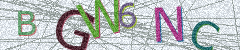 IMAGE_CAPTCHA_ALT