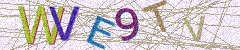 IMAGE_CAPTCHA_ALT