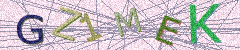 IMAGE_CAPTCHA_ALT