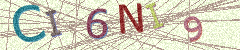 IMAGE_CAPTCHA_ALT
