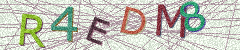 IMAGE_CAPTCHA_ALT