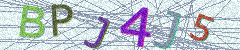 IMAGE_CAPTCHA_ALT