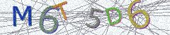 IMAGE_CAPTCHA_ALT
