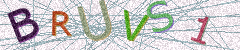 IMAGE_CAPTCHA_ALT