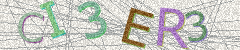 IMAGE_CAPTCHA_ALT