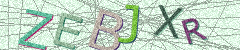 IMAGE_CAPTCHA_ALT