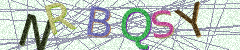 IMAGE_CAPTCHA_ALT