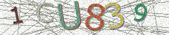 IMAGE_CAPTCHA_ALT