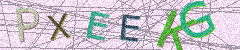 IMAGE_CAPTCHA_ALT