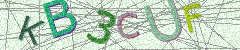 IMAGE_CAPTCHA_ALT