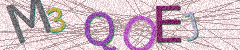 IMAGE_CAPTCHA_ALT