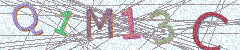 IMAGE_CAPTCHA_ALT