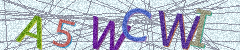 IMAGE_CAPTCHA_ALT