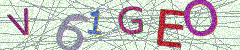 IMAGE_CAPTCHA_ALT