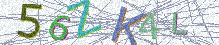 IMAGE_CAPTCHA_ALT