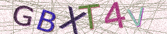 IMAGE_CAPTCHA_ALT
