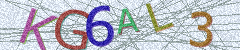 IMAGE_CAPTCHA_ALT