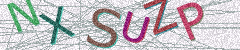 IMAGE_CAPTCHA_ALT