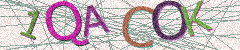 IMAGE_CAPTCHA_ALT