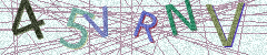 IMAGE_CAPTCHA_ALT