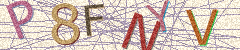 IMAGE_CAPTCHA_ALT