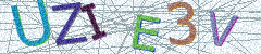 IMAGE_CAPTCHA_ALT