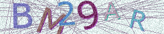 IMAGE_CAPTCHA_ALT