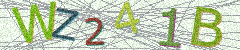 IMAGE_CAPTCHA_ALT