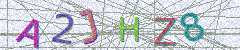 IMAGE_CAPTCHA_ALT