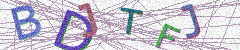 IMAGE_CAPTCHA_ALT