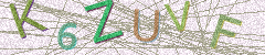 IMAGE_CAPTCHA_ALT