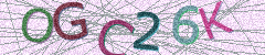 IMAGE_CAPTCHA_ALT