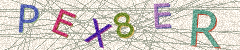 IMAGE_CAPTCHA_ALT