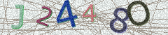 IMAGE_CAPTCHA_ALT