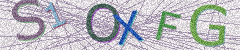 IMAGE_CAPTCHA_ALT