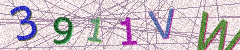 IMAGE_CAPTCHA_ALT