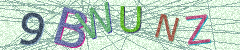 IMAGE_CAPTCHA_ALT