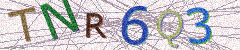 IMAGE_CAPTCHA_ALT