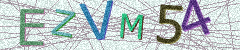 IMAGE_CAPTCHA_ALT