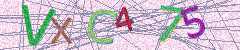IMAGE_CAPTCHA_ALT