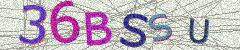 IMAGE_CAPTCHA_ALT