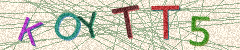 IMAGE_CAPTCHA_ALT