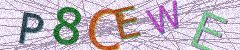 IMAGE_CAPTCHA_ALT